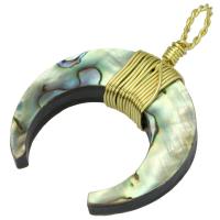 Abalone Shell Pendants, Zinc Alloy, with Abalone Shell, Unisex Approx 8mm 