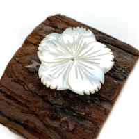 White Lip Shell Beads, Flower, Carved, DIY white 