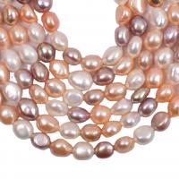 Keshi Cultured Freshwater Pearl Beads, irregular, DIY, mixed colors, 9-10mm cm 