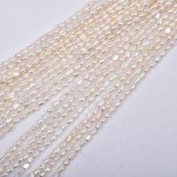 Keshi Cultured Freshwater Pearl Beads, irregular, DIY, white, 3-4mm Approx 14.96 Inch 