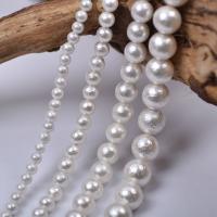 Round Cultured Freshwater Pearl Beads, Shell Pearl, DIY white Approx 14.96 Inch 