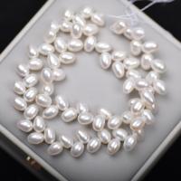 Rice Cultured Freshwater Pearl Beads, DIY, white, 5-6mm Approx 36-38cm cm 
