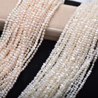 Keshi Cultured Freshwater Pearl Beads, DIY white, 3-4mm Approx 14.96 Inch 