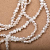 Keshi Cultured Freshwater Pearl Beads, irregular, DIY, white, 3-4mm Approx 15.35 Inch 