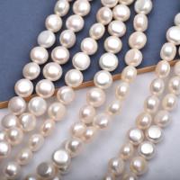 Coin Cultured Freshwater Pearl Beads, Round, DIY, white, 10-11mm Approx 36-38 cm 