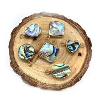 Abalone Shell Pendants, with Brass, gold color plated, Unisex 