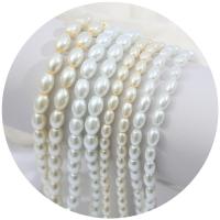 ガラス真珠ビーズ, ガラスパール, 卵形, DIY & 異なるサイズの選択, 無色, 長さ:約 32.65 インチ, 売り手 ストランド