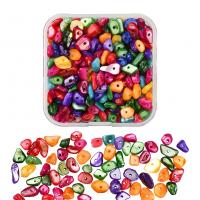 Dyed Shell Beads, with Plastic Box, DIY, mixed colors 