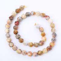 Natural Crazy Agate Beads, Round, polished, Star Cut Faceted & DIY mixed colors Approx 14.96 Inch 