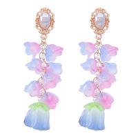 Resin Zinc Alloy Earring, with Resin, fashion jewelry & for woman, multi-colored 