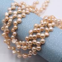 Button Cultured Freshwater Pearl Beads, Flat Round, DIY 7mm, Approx 