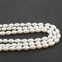 Rice Cultured Freshwater Pearl Beads, DIY, white cm 