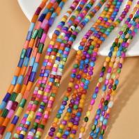 Muschelkern Perle, DIY & verschiedene Stile für Wahl, regenbogenfarben, verkauft von Strang