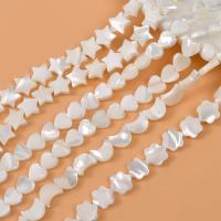 Natural White Shell Beads, DIY white 