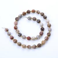 Gobi Agate Beads, with Seedbead, Lantern, polished, DIY & faceted, mixed colors Approx 14.96 Inch 