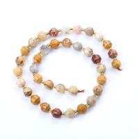 Natural Crazy Agate Beads, with Seedbead, Lantern, polished, DIY & faceted, mixed colors Approx 14.96 Inch 