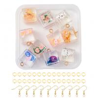 Resin Earring Finding Set, with Plastic Box & Zinc Alloy, DIY 