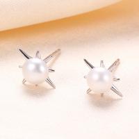 Freshwater Pearl Stud Earring, 925 Sterling Silver, with Freshwater Pearl, Eight Point Star, plated, with plastic earnut & fashion jewelry & for woman 