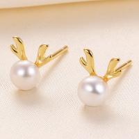 Freshwater Pearl Stud Earring, 925 Sterling Silver, with Freshwater Pearl, Antlers, plated, with plastic earnut & fashion jewelry & for woman 