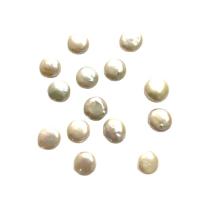 No Hole Cultured Freshwater Pearl Beads, Flat Round, polished, DIY, white, 13-14mm 