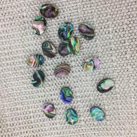 Abalone Shell Cabochon, Ellipse, Carved, DIY 