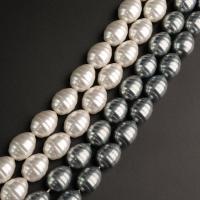 Muschelkern Perle, DIY, keine, 13x16mm, Länge:ca. 15.75 ZollInch, verkauft von Strang