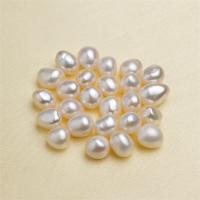 No Hole Cultured Freshwater Pearl Beads, DIY Approx 