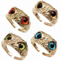 Brass Finger Ring, with Resin, Owl, gold color plated, fashion jewelry & Unisex 