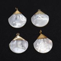 Natural Freshwater Shell Pendants, with Brass, Fan, gold color plated, DIY white 