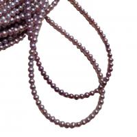 Keshi Cultured Freshwater Pearl Beads, Natural & DIY, purple, 3-3.5mm cm 