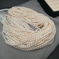 Rice Cultured Freshwater Pearl Beads, DIY, white, 3.3-3.8mm Approx 14.37 Inch 