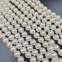 ABS-Kunststoff -Perlen-Korn, ABS-Kunststoff-Perlen, rund, DIY & verschiedene Größen vorhanden, weiß, verkauft von PC