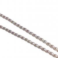 Ожерелье из пресноводных жемчуг на латунной цепочке, Пресноводные жемчуги, с Латунь, плакирован золотом, различной длины для выбора & Женский, белый, 3-3.5mm, продается PC