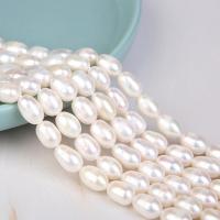 Rice Cultured Freshwater Pearl Beads, polished, DIY white Approx 14-15 Inch 