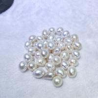 Naturel d'eau douce perles, perle d'eau douce cultivée, DIY, blanc, 11-13mm, Vendu par PC