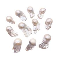 Natural Freshwater Pearl Loose Beads, irregular, polished, DIY, white, 16x30- 