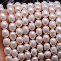 Rice Cultured Freshwater Pearl Beads, DIY white Approx 36-38 cm 