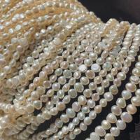 Barock kultivierten Süßwassersee Perlen, Natürliche kultivierte Süßwasserperlen, DIY, weiß, 4-5mm, Länge:ca. 14.17 ZollInch, verkauft von Strang