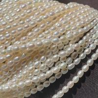 Rice Cultured Freshwater Pearl Beads, DIY, white, 4.5-5mm Approx 14.17 Inch 