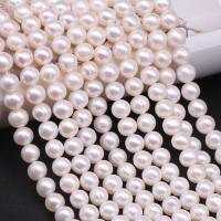 Perles de nacre rondes de culture d'eau douce, perle d'eau douce cultivée, DIY, blanc, 5.5-6mm Environ 38-40 cm, Vendu par brin