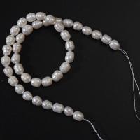 Rice Cultured Freshwater Pearl Beads, DIY, white, 8mm Approx 14.2 Inch 
