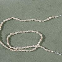 Keshi Cultured Freshwater Pearl Beads, irregular, DIY, white, 3-3.5mm Approx 14.2 Inch 