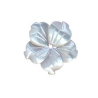 Perles de coquillages blancs, Lèvre blanche, fleur, gravé, blanc, 15mm, Vendu par PC