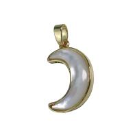 Brass Shell Pendants, White Shell, with Brass, Moon, gold color plated, white 