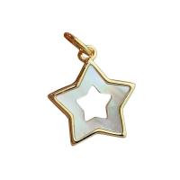 Brass Shell Pendants, White Shell, with Brass, Star, 18K gold plated, hollow, 15.8mm 