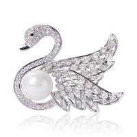 Cubic Zirconia Brooch, Brass, with Plastic Pearl, Swan, silver color plated, fashion jewelry & micro pave cubic zirconia & for woman, silver color 