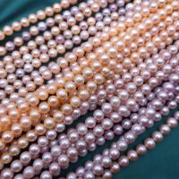 Round Cultured Freshwater Pearl Beads, DIY 7.5-8mm, Approx 