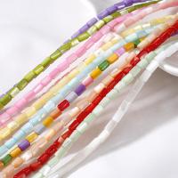 Dyed Shell Beads, Column, DIY Approx 