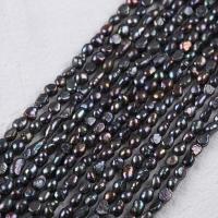 Barock kultivierten Süßwassersee Perlen, Natürliche kultivierte Süßwasserperlen, DIY, 5-6mm, Länge:ca. 14-15 ZollInch, verkauft von Strang