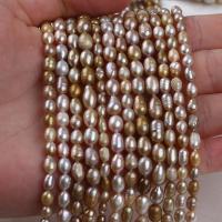 Rice Cultured Freshwater Pearl Beads, DIY, 4-5mm Approx 14-15 Inch 